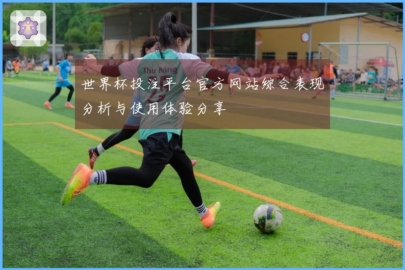 世界杯投注平台官方网站综合表现分析与使用体验分享