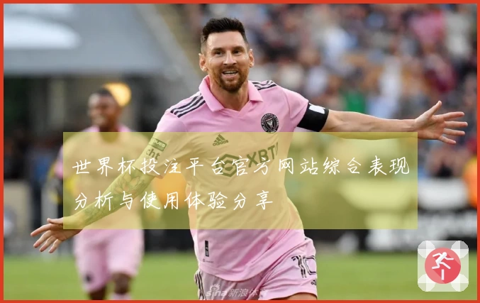 世界杯投注平台官方网站综合表现分析与使用体验分享