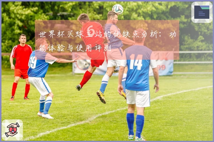 世界杯买球主站的优缺点分析：功能体验与使用评测