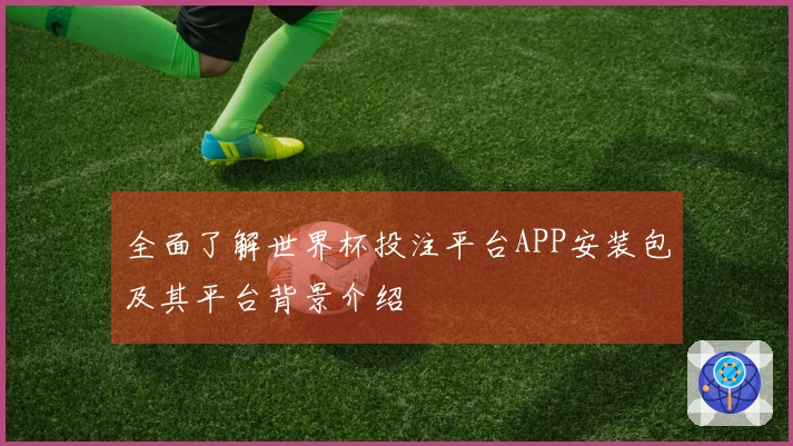 全面了解世界杯投注平台APP安装包及其平台背景介绍